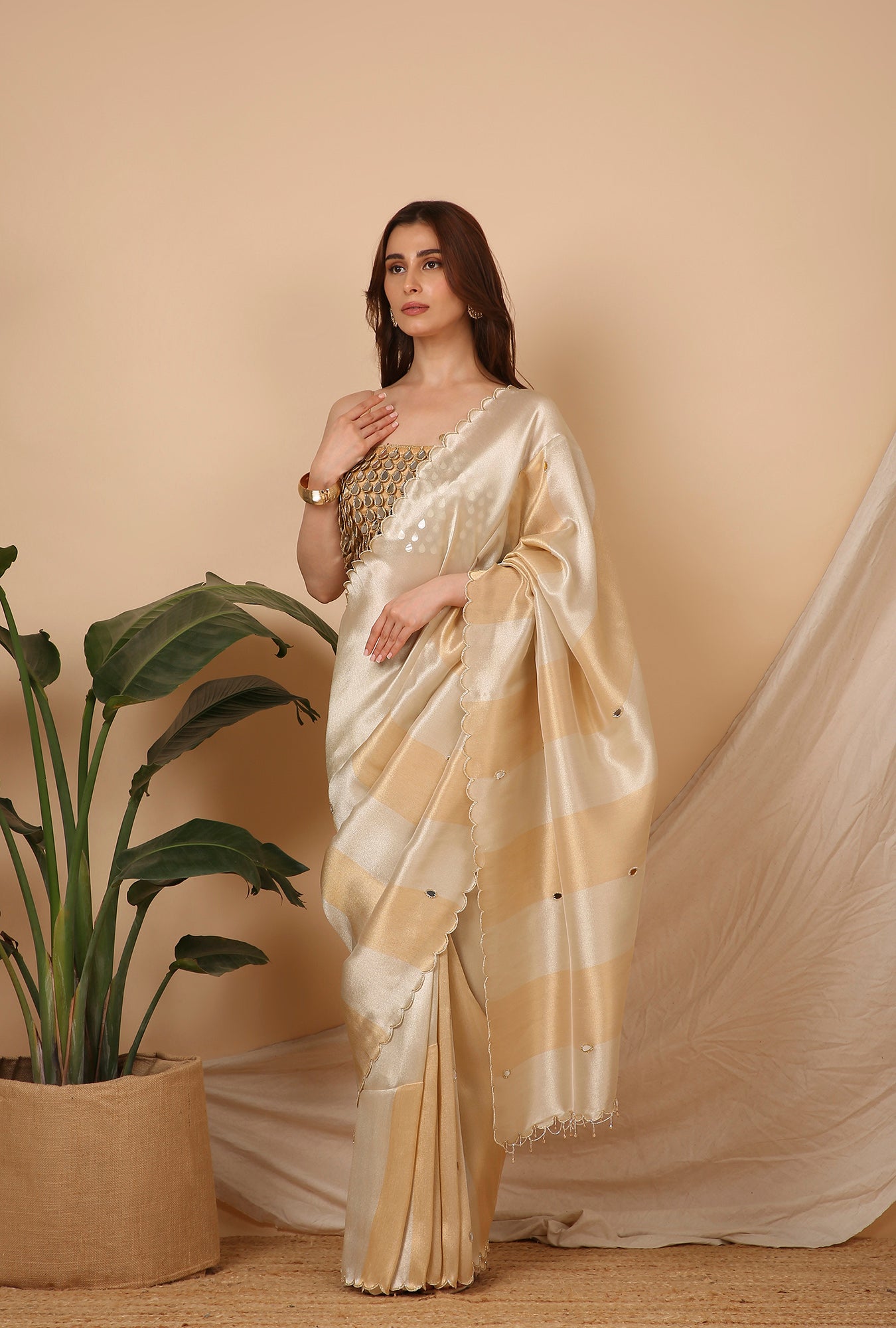 GOLD SILVER AIR INDIA STYLE CUT WORK BORDER  SIGNATURE SAREE