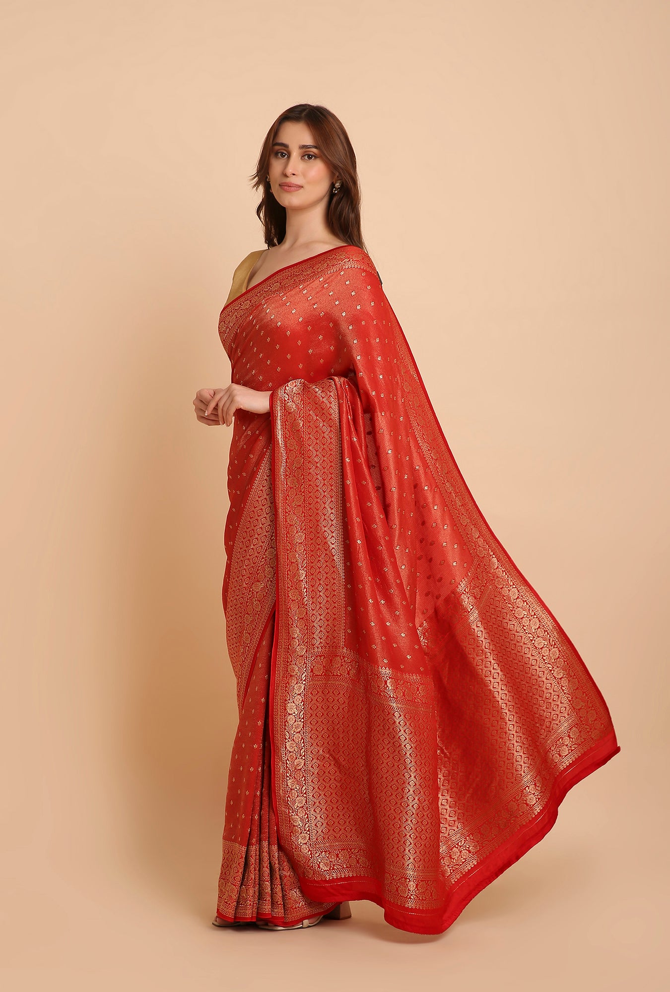 RUSTY RED FANCY TISSU SAREE