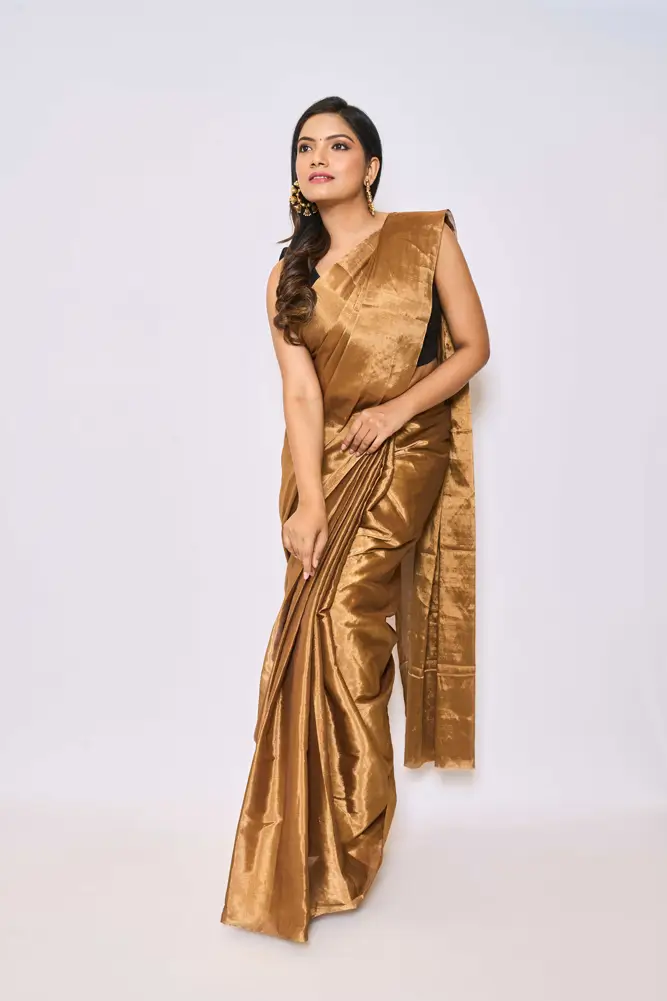 Cooper Gold Tissue Saree