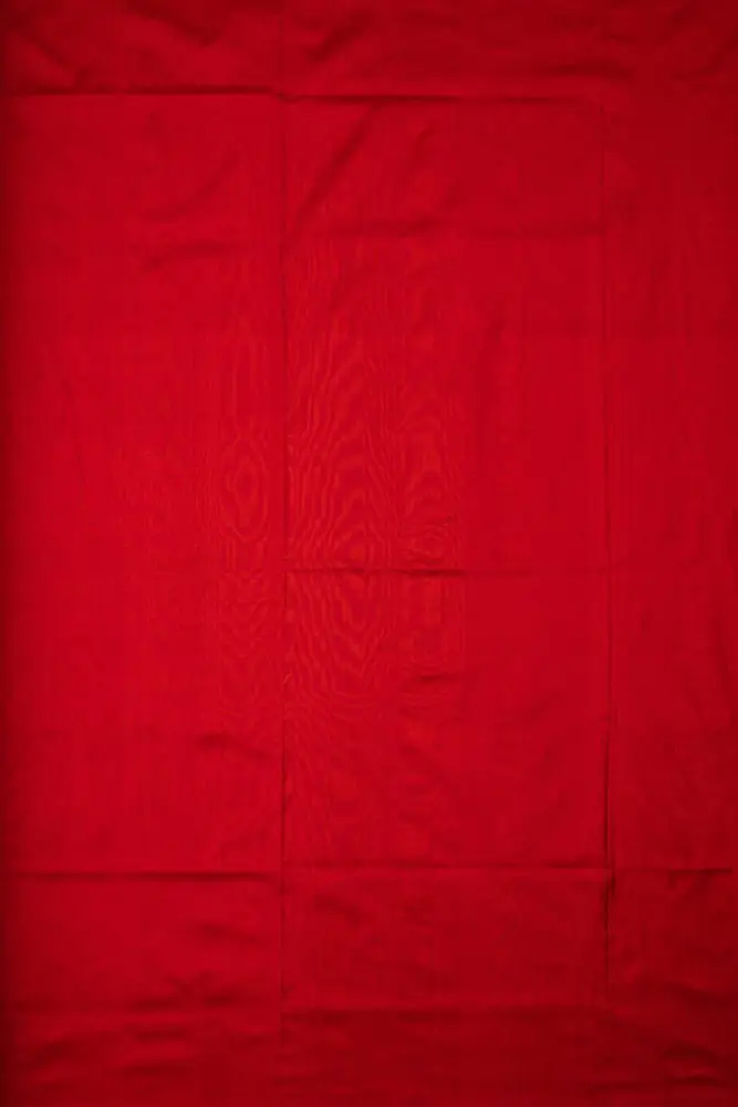White Black & Red Patola Double Itkat Patola Saree